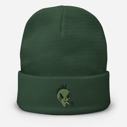 Alien Beanie Embroidered Skater Beanie for Men Alien Gift for X Files Fans Cryptid Beanie Men’s Gifts UFO Gifts for Him